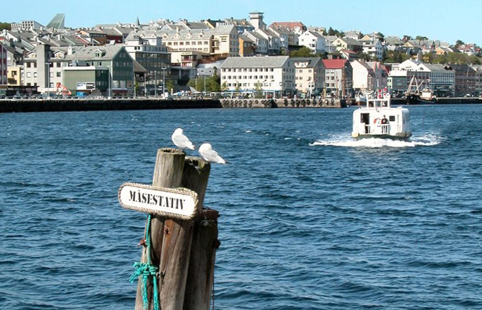 kvik 2
