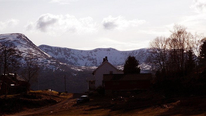 vaaren