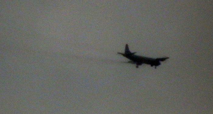 fly