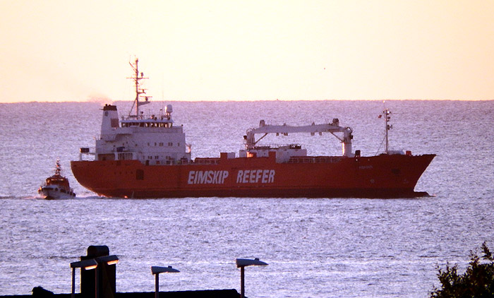 445 e