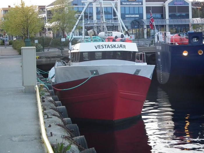 vetas
