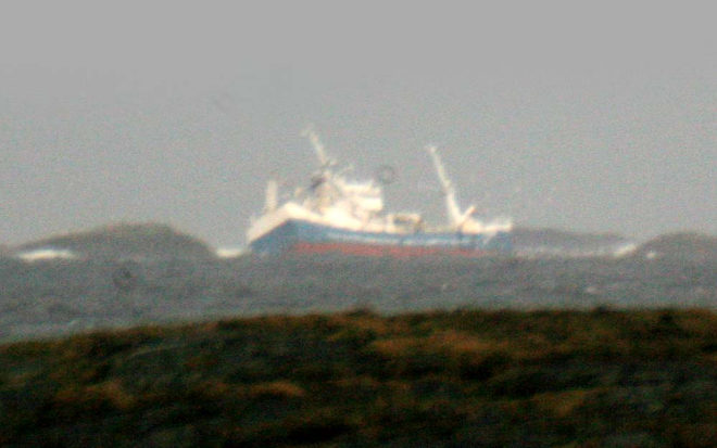 baar 33