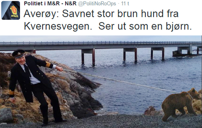 hund.jpg hul