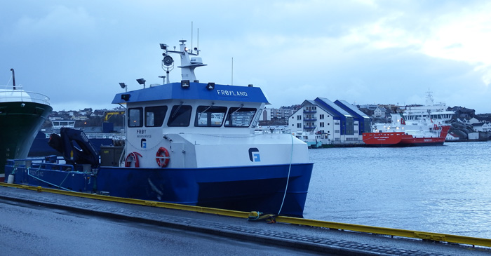 kaia 5