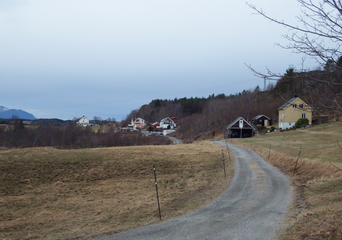 eidet 1