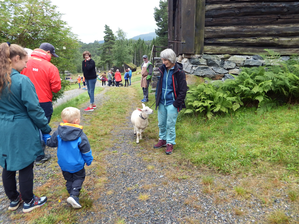 gamle 3