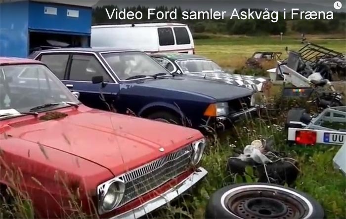 bilgammel link video