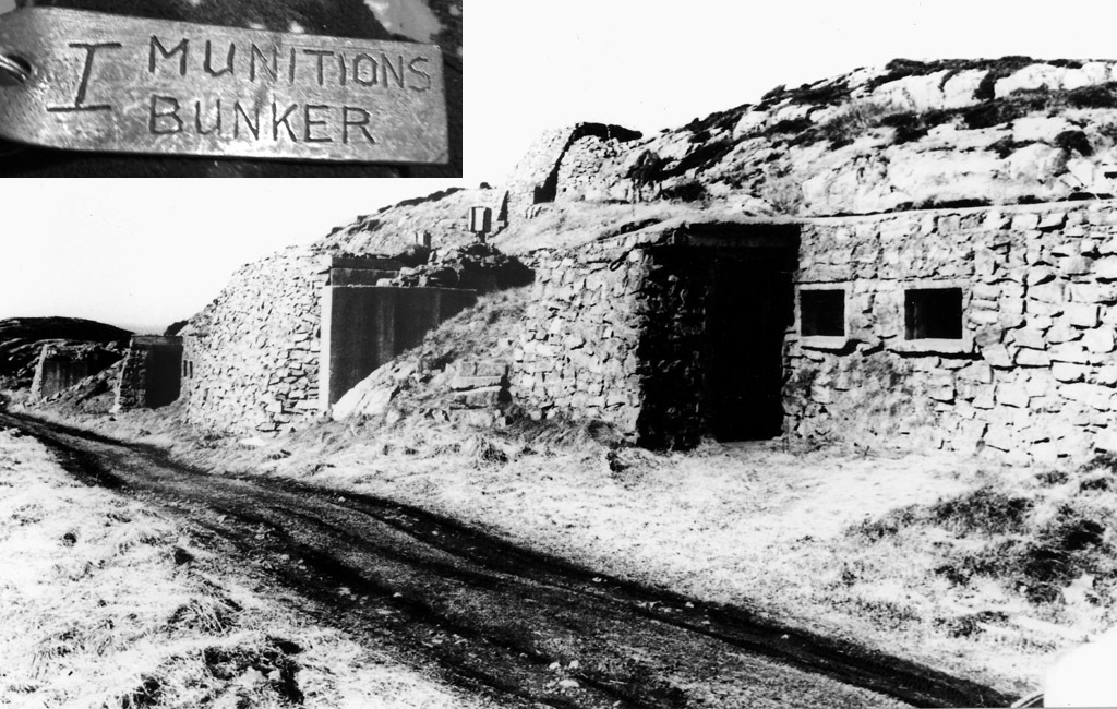 1973