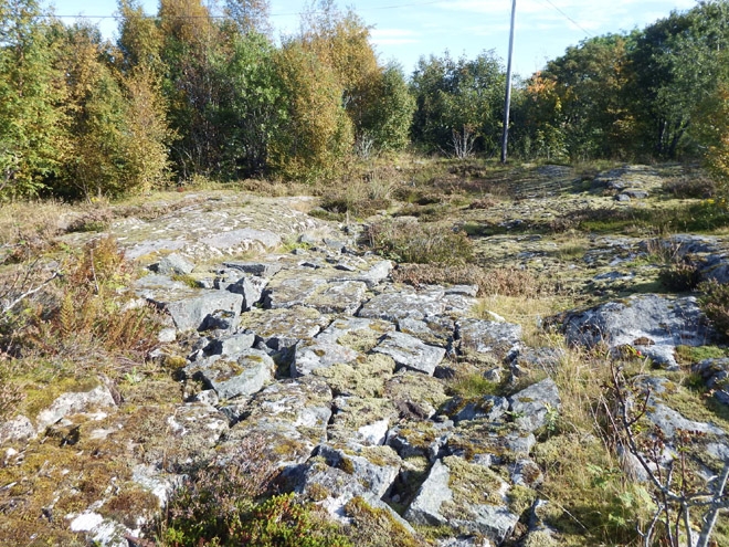berg 7