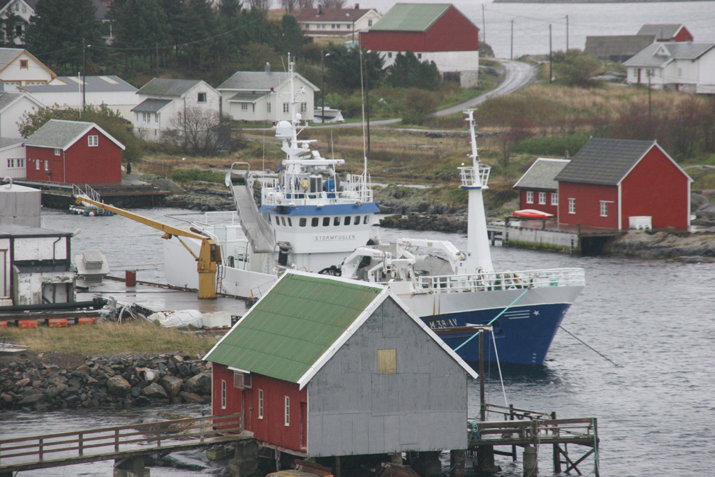 stormfuglen hjem