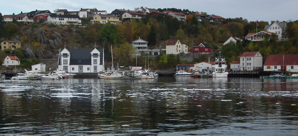 schau