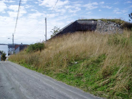105.jpg