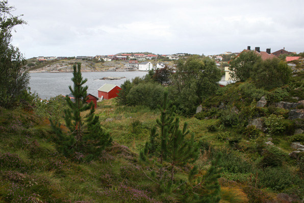 vei__nord vei__nord
