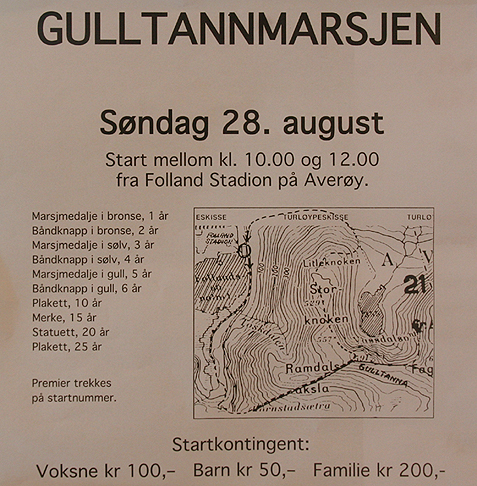 gull_1