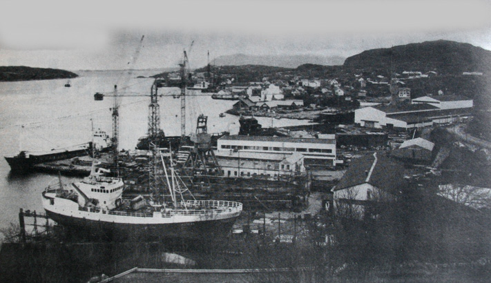 stekoder_1981