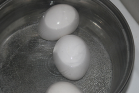 egg_lite.jpg egg_lite.jpg