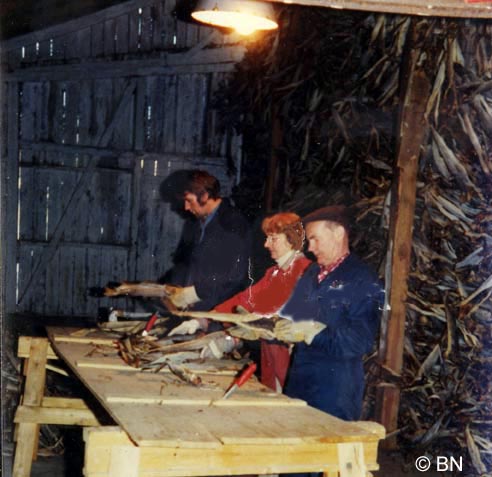 rolfsen