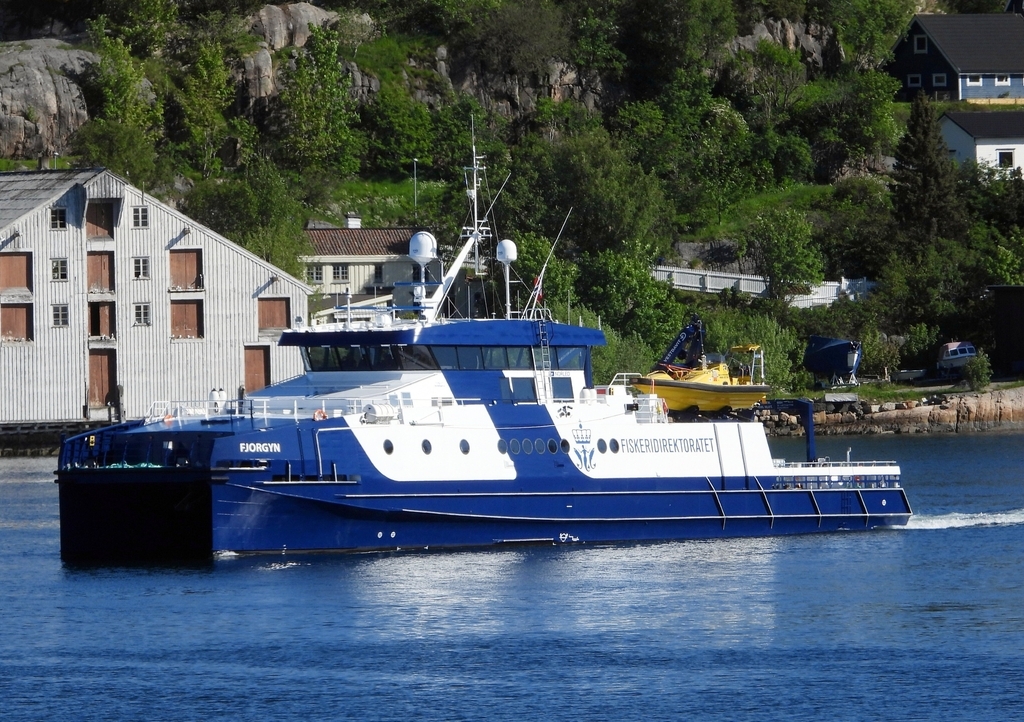 fjordgyn 1