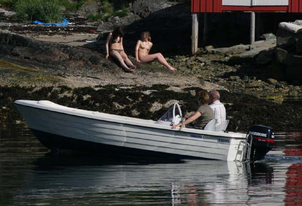 fv_arne fv_arne