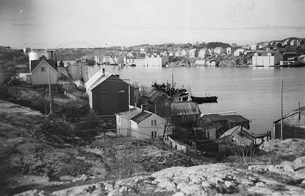 1955_d