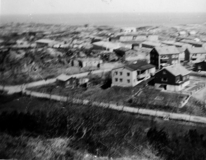 1950.jpg 1950.jpg