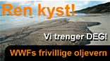renkyst1_4080.png renkyst1_4080.png