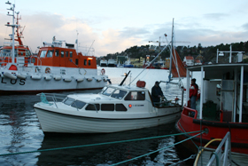 disel_l disel_l