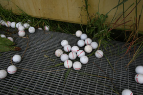 golf_l golf_l