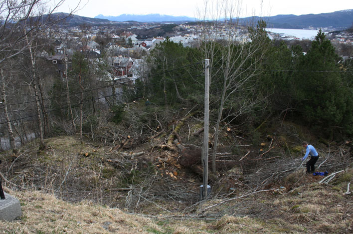 dug_4 dug_4