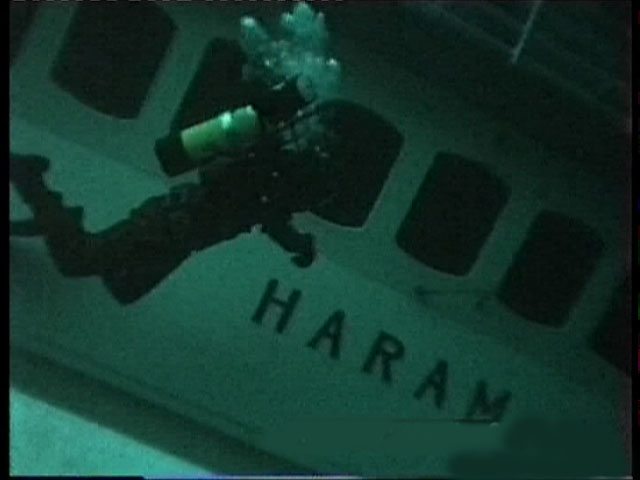 hara_s hara_s