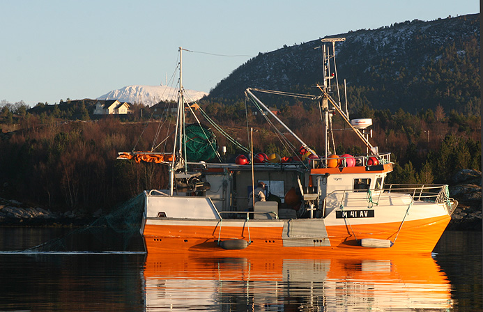 ekk_sjark_orange ekk_sjark_orange