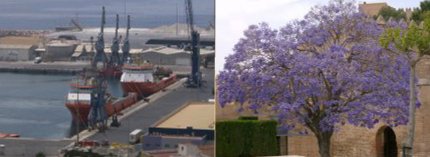 tonni_i_spain tonni_i_spain