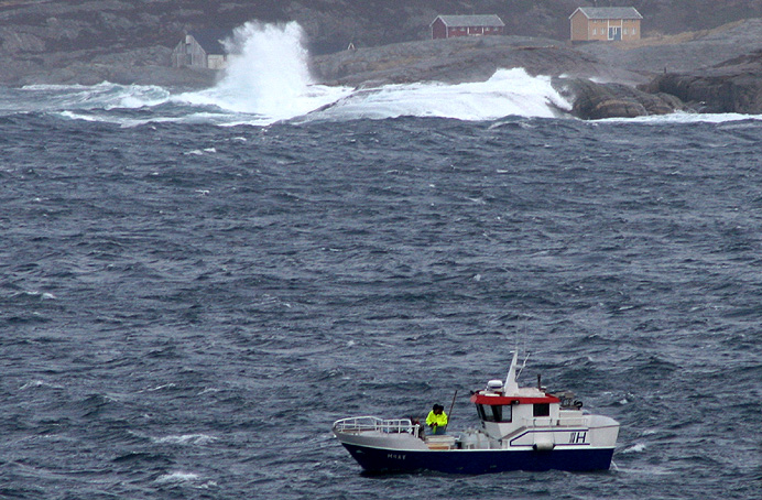 aver_gjoet_p_fjord aver_gjoet_p_fjord