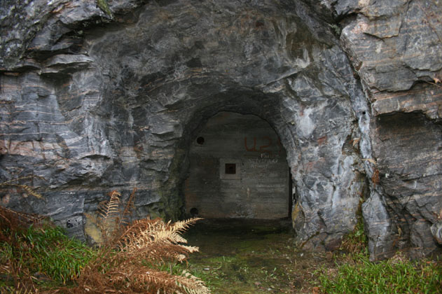 kol_tunn kol_tunn