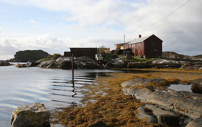 egg_mot_brunhus_vaag egg_mot_brunhus_vaag