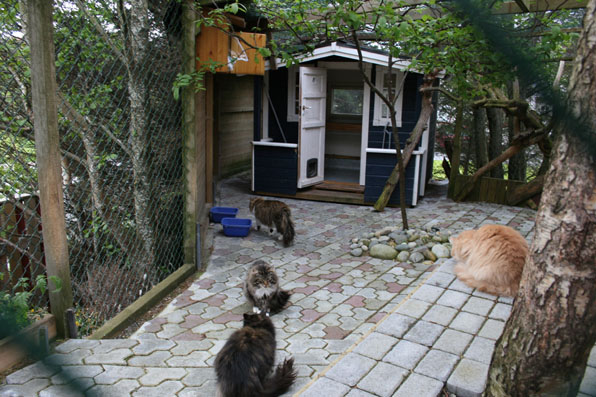 katz_gard katz_gard