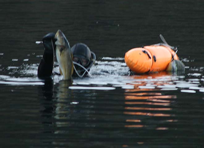havn_fisk havn_fisk