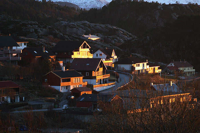 fin_storskarv_sol fin_storskarv_sol