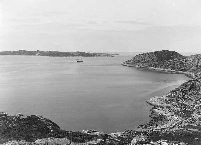 svart