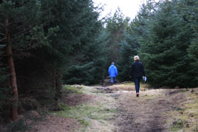 skog__l_bruk skog__l_bruk