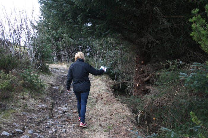 skog_s skog_s