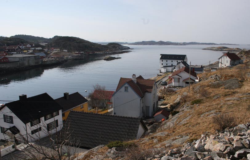 fin_brvik fin_brvik