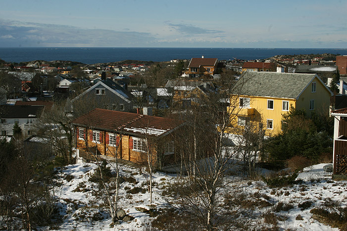 dag_torgersen dag_torgersen