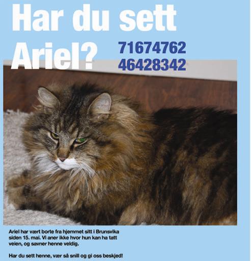 alter_1