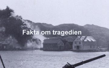 telvg_lin
