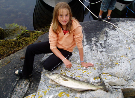 fisken