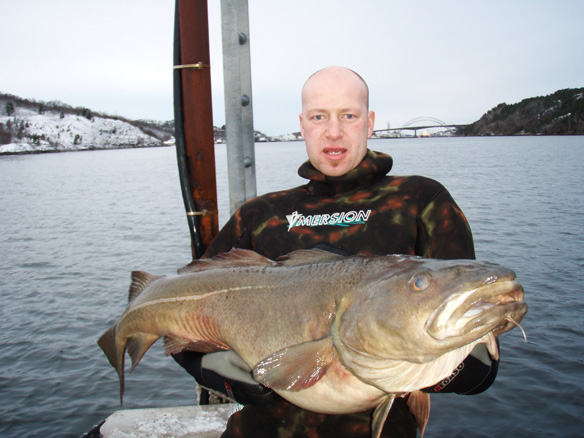 orjan orjan