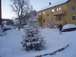 sno_lite.jpg sno_lite.jpg