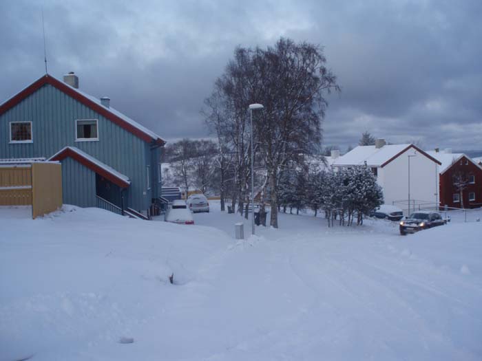 snoe_1.jpg snoe_1.jpg