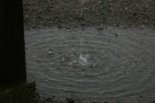 regn_lite.jpg